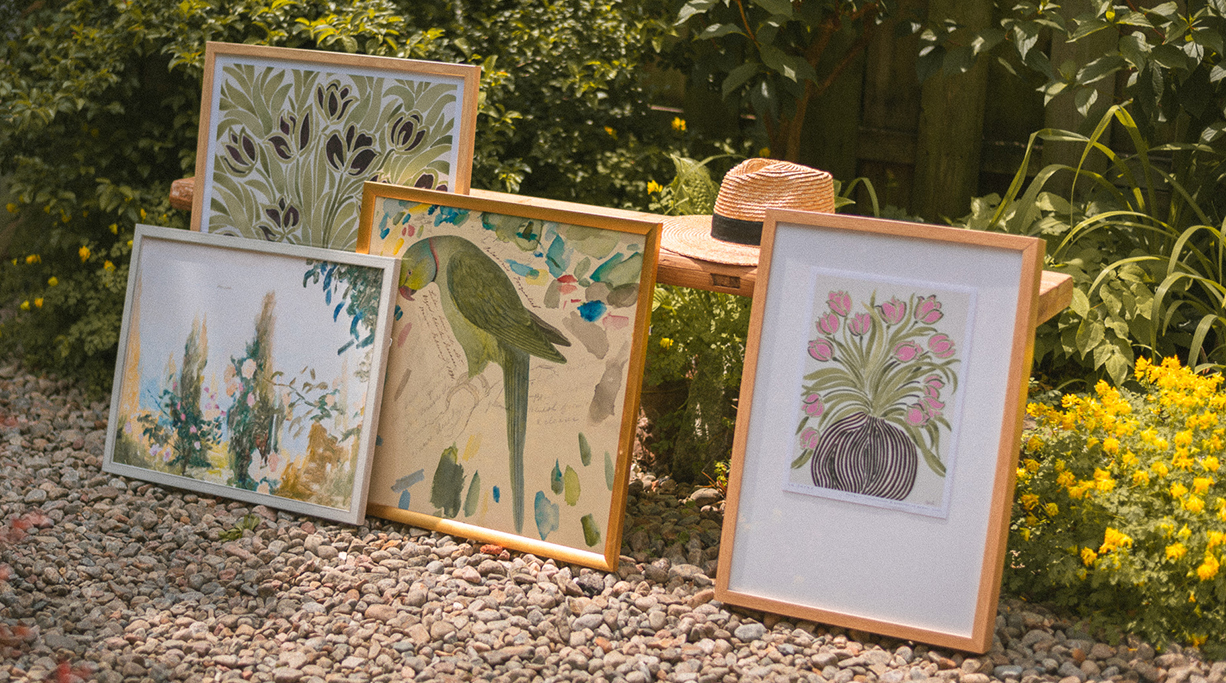 COLORED FRAMES